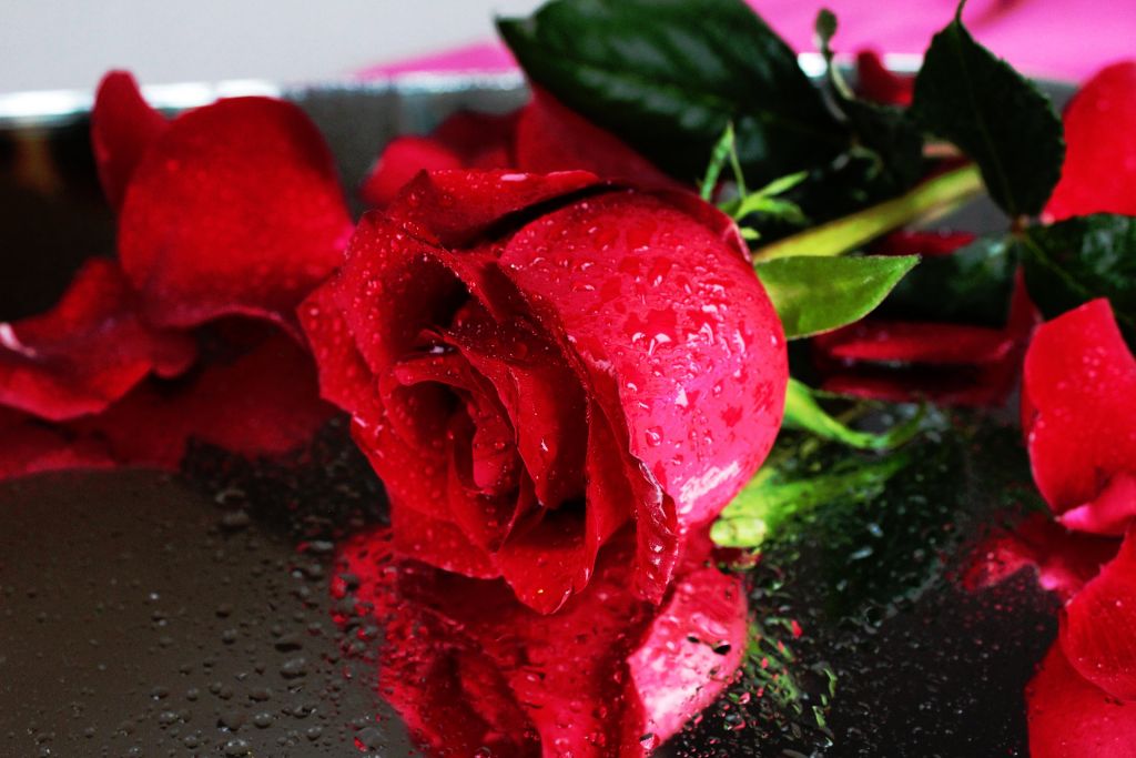 Rose Ceremony - the first gift as a married couple a symbolic addition to wedding ceremonies in Fuerteventura