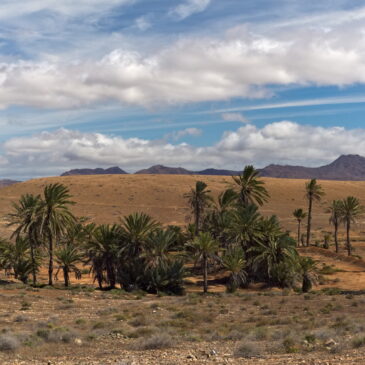 The Weather in Fuerteventura in February