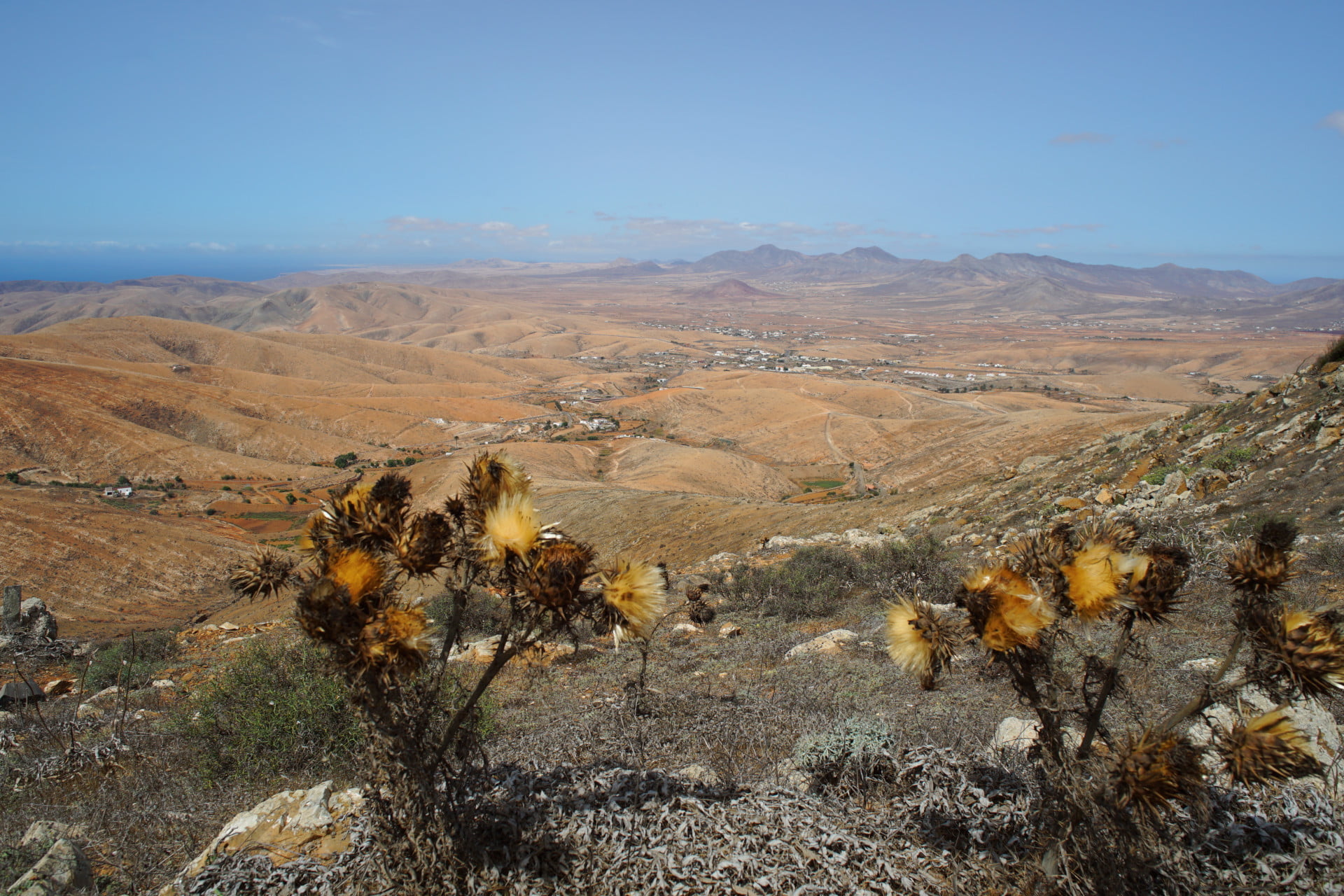 View of the parched landscape from Mirador Guise y Ayose